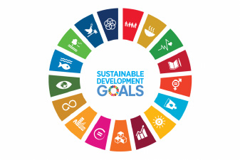 Sustainable Development Goals Logo